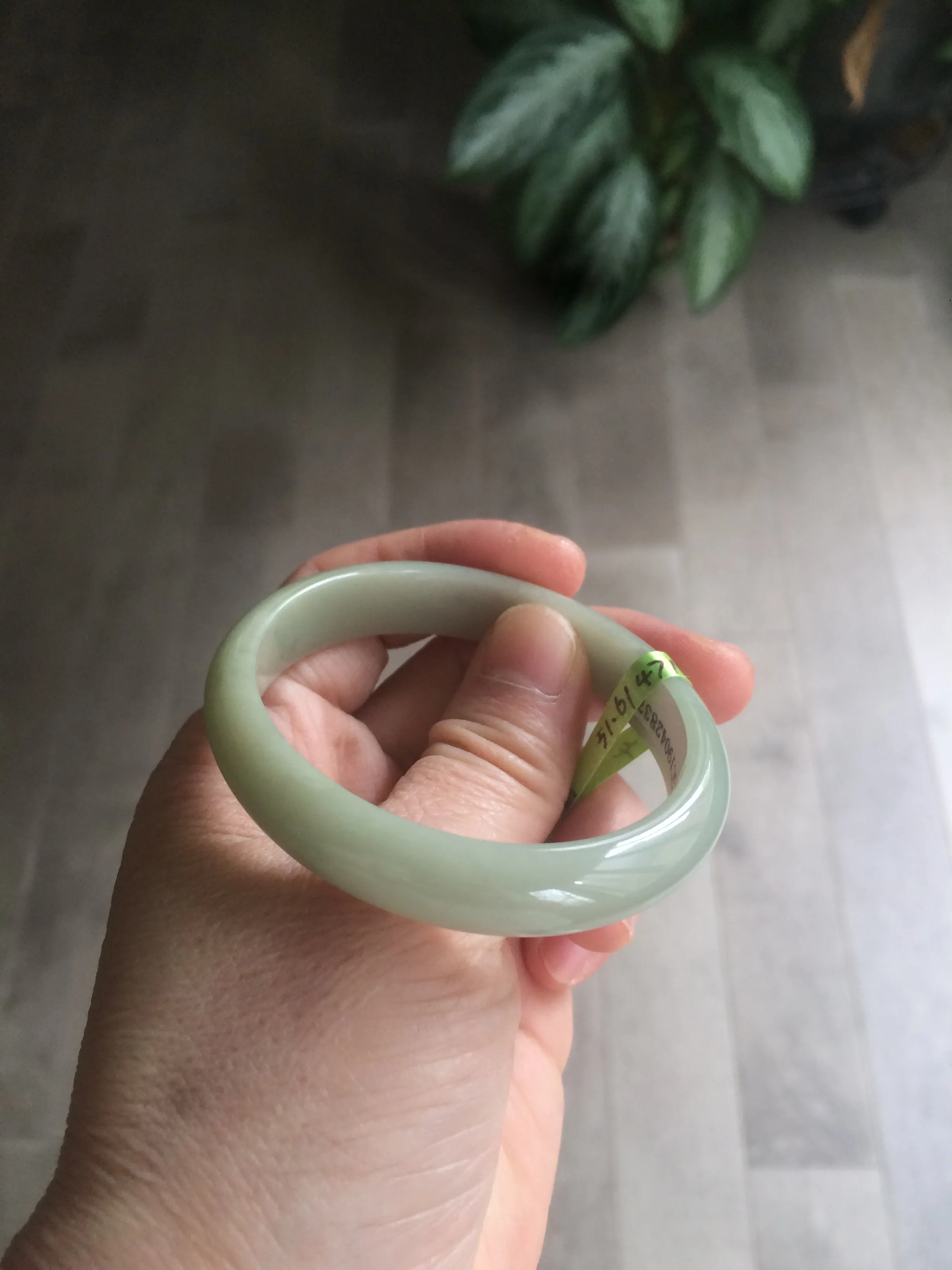 49.5mm Type A 100% Natural icy light green oval Jadeite Jade bangle L109