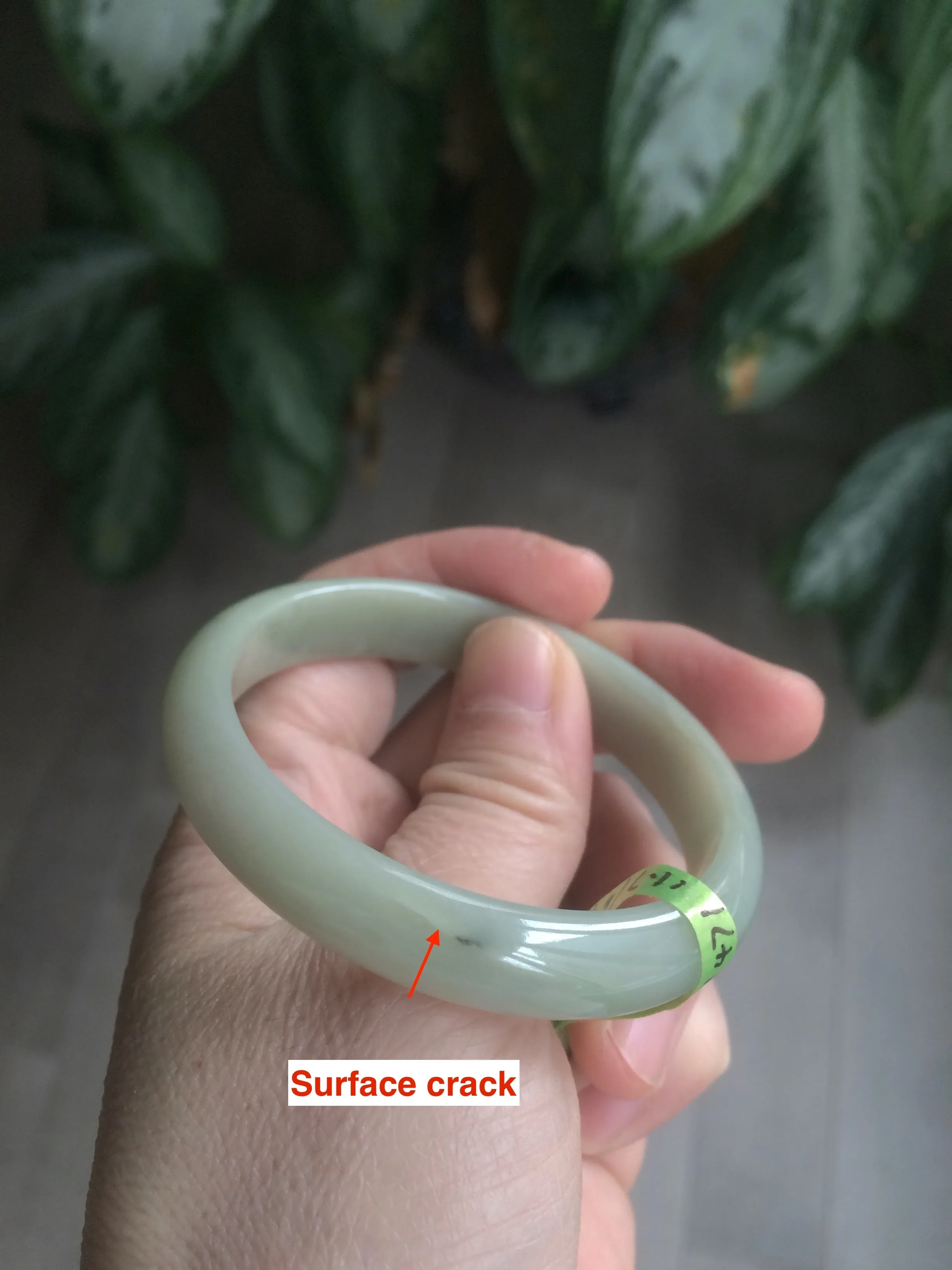 49.5mm Type A 100% Natural icy light green oval Jadeite Jade bangle L109