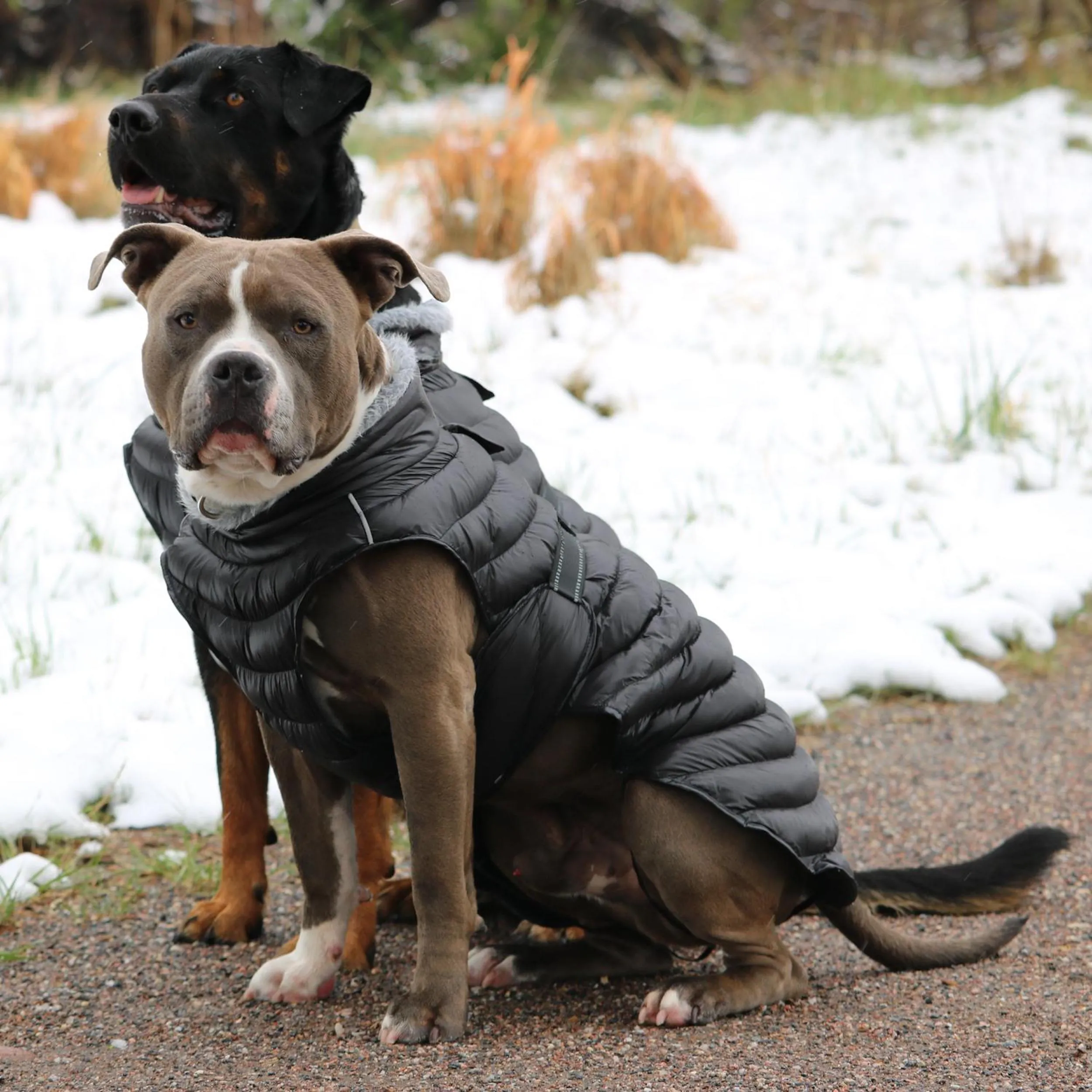 Alpine Extreme Weather Puffy Coat | Burgundy