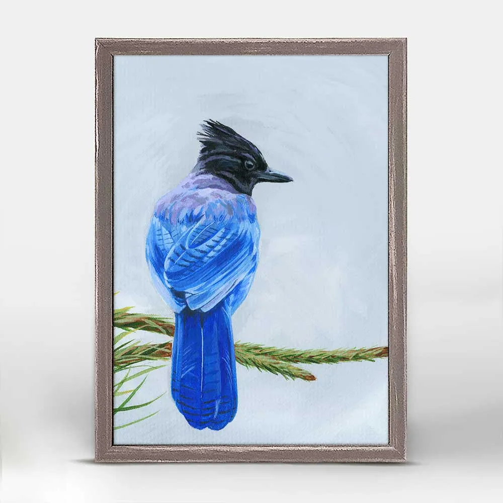 Avian Spotlight - Scrub Jay Mini Framed Canvas