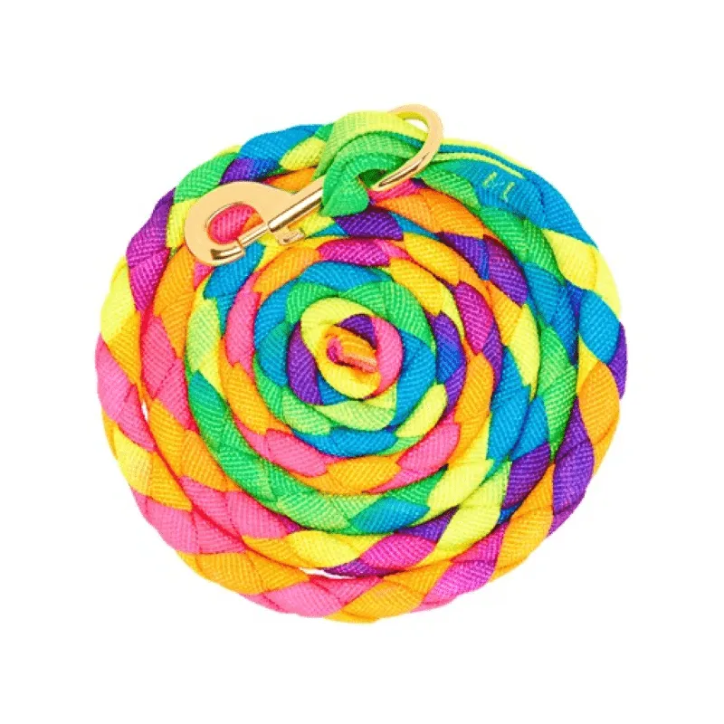 Bambino Braided Poly Lead Rainbow (BAM2100)