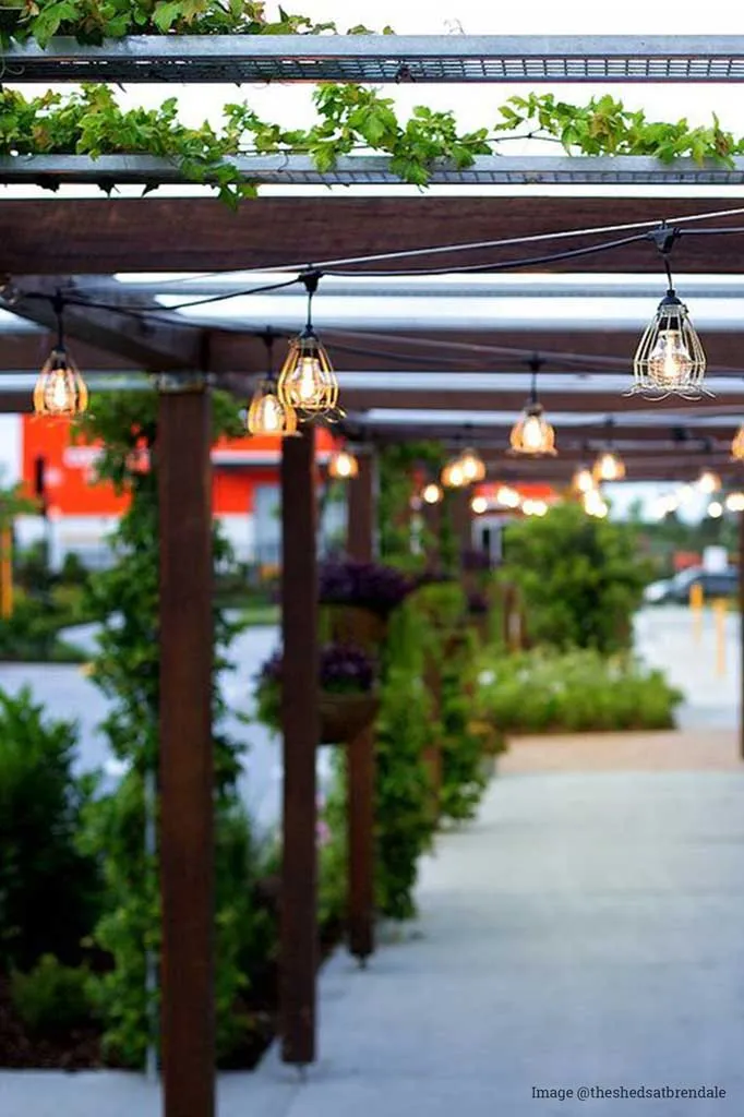 Festoon Lights - Outdoor String Lights with Cages