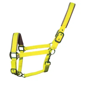 Woof Wear Head Collar and Lead Rope Set - Sunshine Yellow